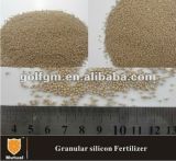 Granular Silicon Calcium Fertilizer for Golf Course Green and Fairway