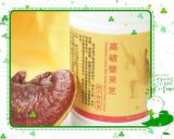 Reishi Mushroom Spore Powder Capsule With High Shell Broken Rate