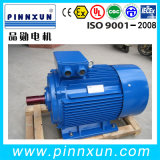 Ie2 Three Phase AC Electric Motor