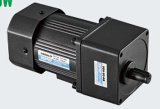 Induction Electric AC Motor