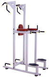 Vertical Knee Raise Gym Machine
