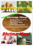 Shrimp Meal for Animal Feed with Lowest Price