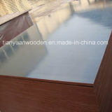 Waterpproof White Melamine Laminated Plywood for Cabinet