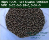 Granular 4 Mm Seabird Guano Fertilizer 25% Total Phosphorous, Bio Organic Fertilizer