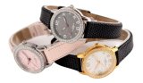Luxury New Fashion Quartz Leather Watch Women Watch with Crystal