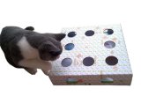 2014 Exclusive Cat Play Toy Box
