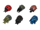 Plastic Funny Pull Back Beetle Toy (10218136)