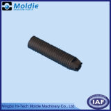 Plastic Injection Molding for Screw