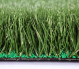 Artificial Grass, Sports Floor, Football Grass (PD/SM55H1)