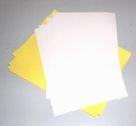 Self Adhesive Cast Coated Paper (WBL-G164)