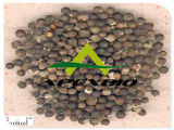 Chasteberry Extract/Chaste Tree Fruit Extract, Vitex Agnus-Castus Extract, Agnusides, Vitexin