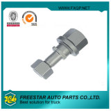 10.9 Phosphating Wheel Nut and Bolt
