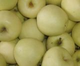 Organic Golden Delicious Apple Yantai