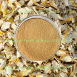 Dendrobium Extract (DMAA Replacement)