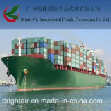 Sea Freight Container Shipping From China to Korea