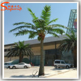 Home Decoration Artificial Outdoor Palm Trees Coconut Palm Tree