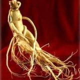 Gap Facotry of Panax Ginseng Root Extract, Low Pesticides