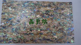 Abalone Paua Shell Paper 140X240X0.2mm for Decoration