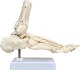Foot Joint Mh01025-B