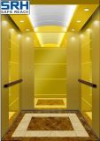 Top Passenger Elevator Manufacture in China