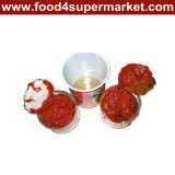 Tomato Paste/Tomato Puree/Ketchup/Canned Tomato 1kg
