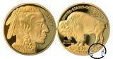 Commemorative Coin; Souvenir Coin; Gold Coin (FM-G03)
