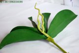 Real Touch Decorative Artificial Flower Leaves for Phalaenopsis