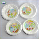 Household Daily Use Disposable Paper Plates