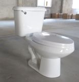 Elongated High Efficiency Two Piece Toilet (10 in. rough-in)