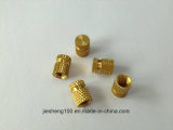 Hot Sale Plastic Precision Brass Insert Nuts+86 13537382696