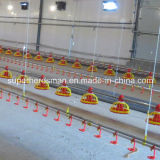 Full Set Poultry Control Shed Equipment for Broiler