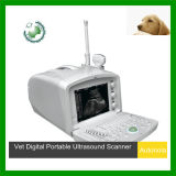 Veterinary Ultrasound Equipments