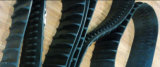High Quality Rubber Track (125*19*204)