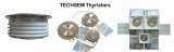 Techsem Thyristor Used for Induction Furnace in China