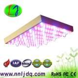 55W Red Blue LED Grow Light 630nm 460nm for Indoor Gardening