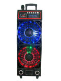Professional Speaker with Colorful Light 6300t