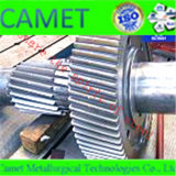 Forged Steel Gear and Gear Shaft