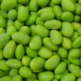 IQF Frozen Green Organic Vegetables Edamame Kernels