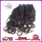 New Arrival Virgin Indian Hair Nature Wave/Wholesale Hair Products