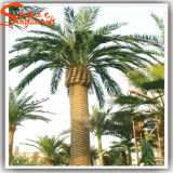 Best Price Indoor Decoration Artificial Date Palm Tree
