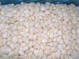 IQF Garlic Cloves