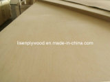 18mm Maple Plywood for Decoration