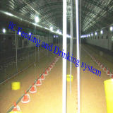 Automatic Poultry Water Cup for Chicken House