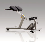 Roman Chair Exercise Equipment/Pin Loaded Machine