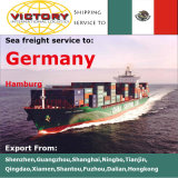 Container Shipping Service to Hamburg, Bremenhaven (Germany) ; Le Havre (France) - 20