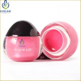 Color Cosmetics Moisturizing Long-Lasting Lipgloss