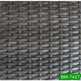 Beautiful Plastic Weaving Imitation Fiber (BM-7427)