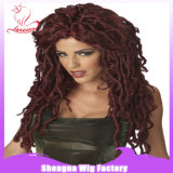 BSCI Hot Selling Fashion Carnival Mixed Color Party Women Wigs (SN0014)