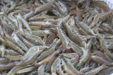 Frozen Vannamei Shrimp (FS01)