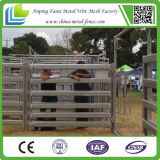 Oval Rail Used Livestock Panels for Sale